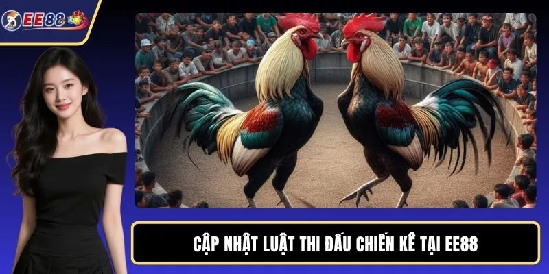 Cập nhật luật thi đấu chiến kê tại EE88